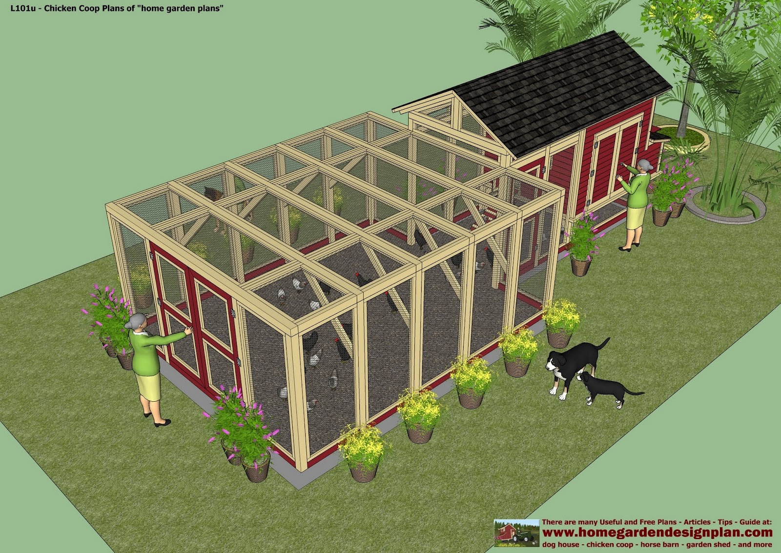 I Want to Find Chicken Coops That Have